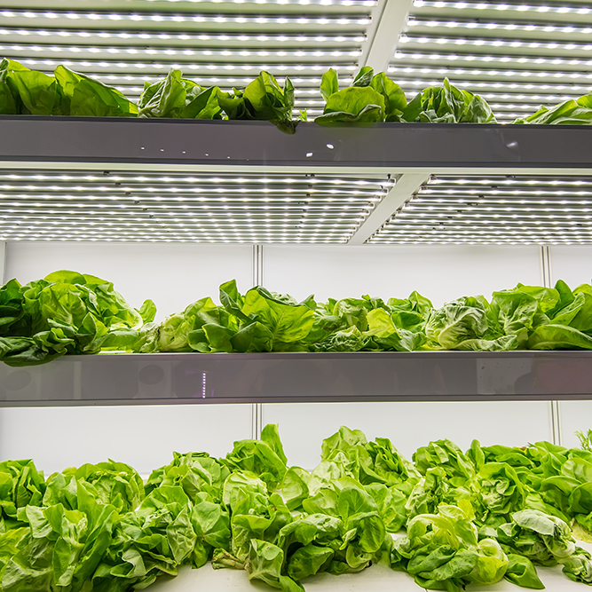 LED Gartenbaubeleuchtung by Engel - Engel Lighting GmbH & Co. KG