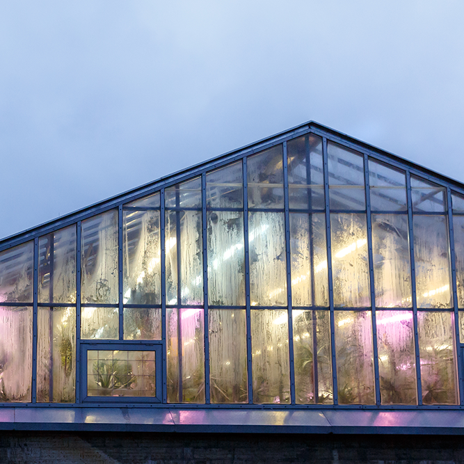 Vergleich von LED und Metallhalogen Leuchten - Engel Lighting GmbH & Co. KG