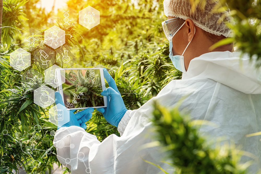 Referenz PPFD- und DLI-Werte per Pflanzenart - Engel Lighting GmbH & Co. KG