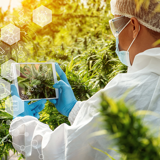 Referenz PPFD- und DLI-Werte per Pflanzenart - Engel Lighting GmbH & Co. KG