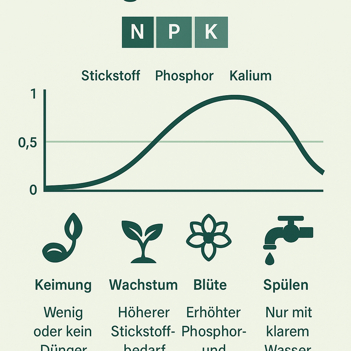 Düngeschema einfach erklärt – so wachsen deine Pflanzen kräftig und gesund Engel Lighting 