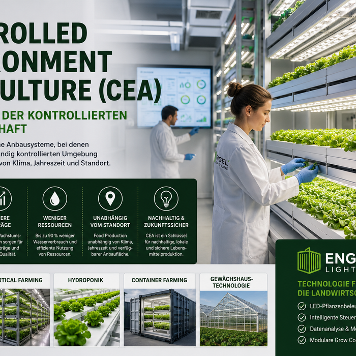 Controlled Environment Agriculture (CEA) erklärt – Die Zukunft der kontrollierten Landwirtschaft