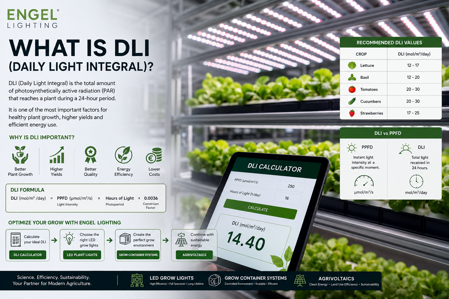 What Is DLI (Daily Light Integral)? Complete Guide for Growers