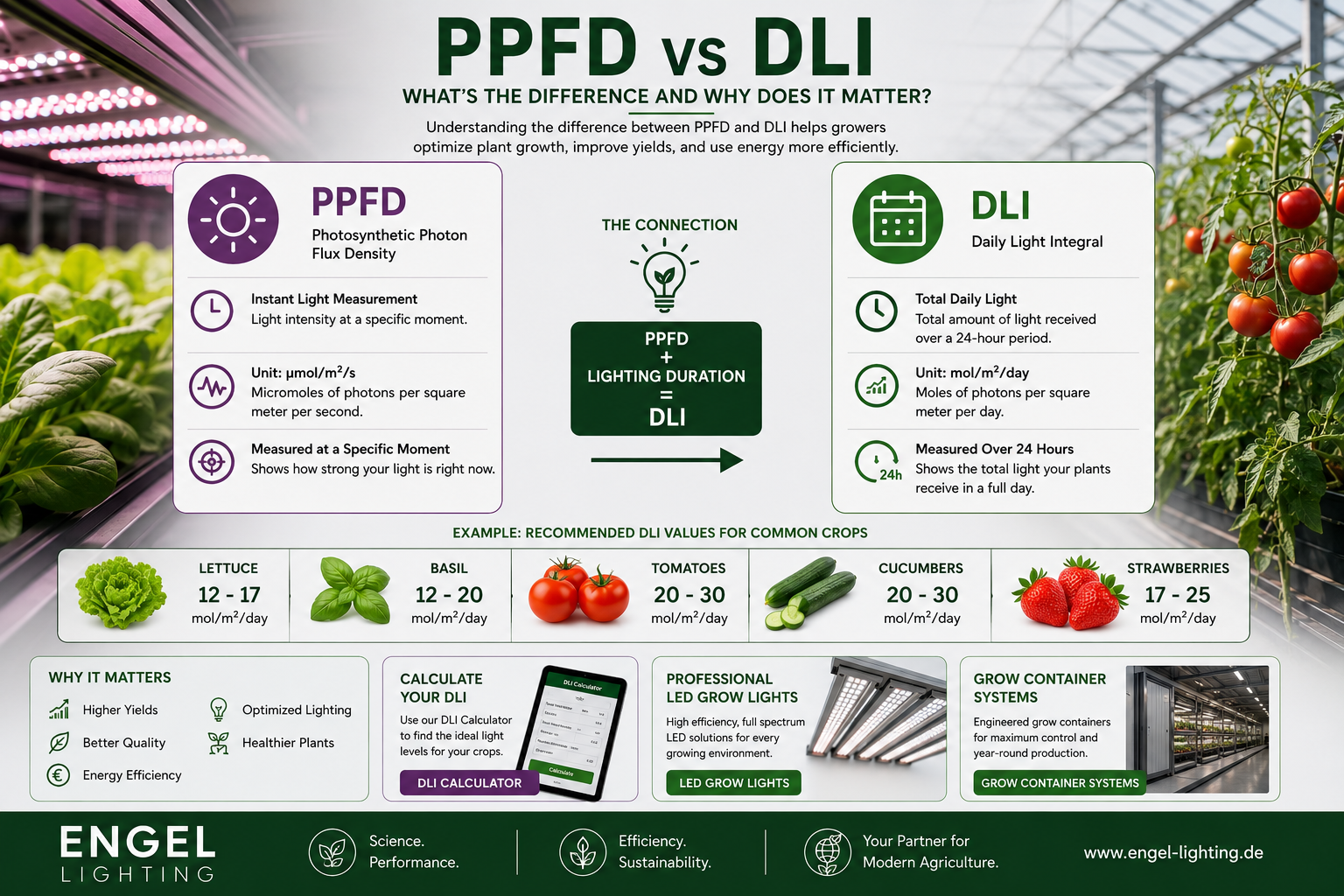 PPFD vs DLI: What's the Difference and Why Does It Matter for Plant Growth?