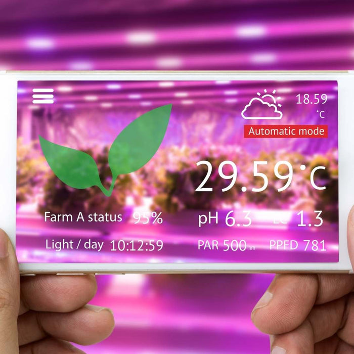 Effektive LED Beleuchtung für den Cannabis-Anbau Engel Lighting 