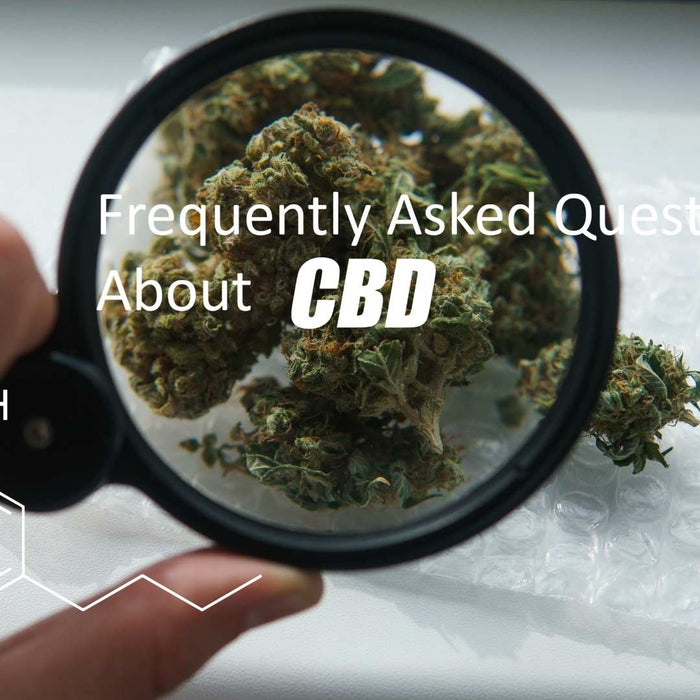 Häufig gestellte Fragen (FAQ) zu CBD Engel Lighting 