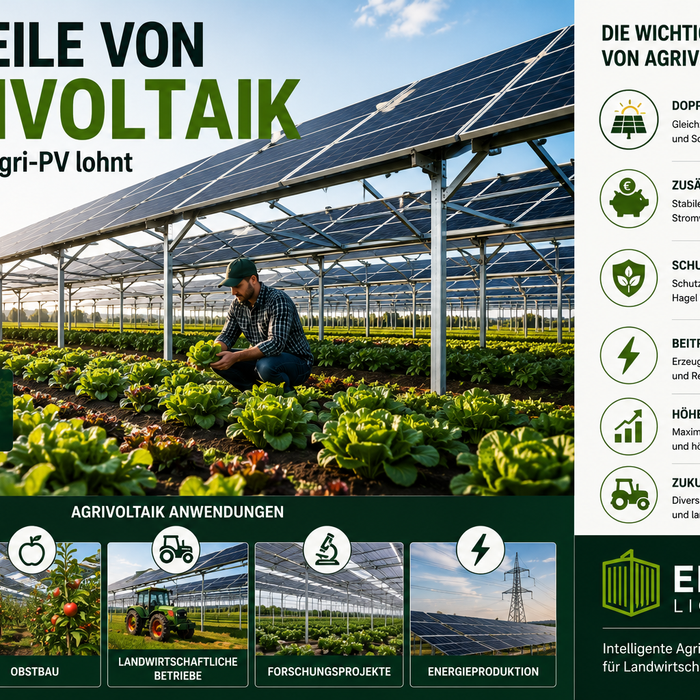 Vorteile von Agrivoltaik – Warum sich Agri-PV lohnt