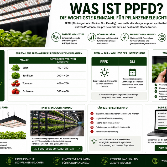 Was ist PPFD? Die wichtigste Kennzahl für Pflanzenbeleuchtung