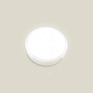 Engel Calla LED-Leuchte | IP66, IK10, optional mit Sensor | Wand- und Deckenleuchte | Gewerbebeleuchtung für Innen- und geschützte Außenbereiche