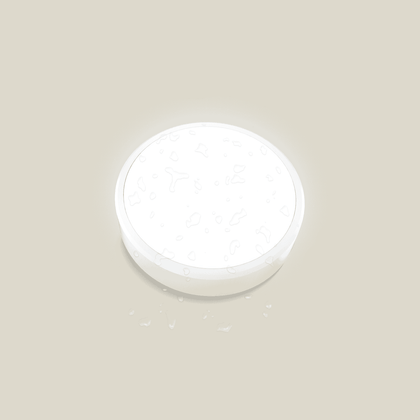 Engel Calla LED-Leuchte | IP66, IK10, optional mit Sensor | Wand- und Deckenleuchte | Gewerbebeleuchtung für Innen- und geschützte Außenbereiche
