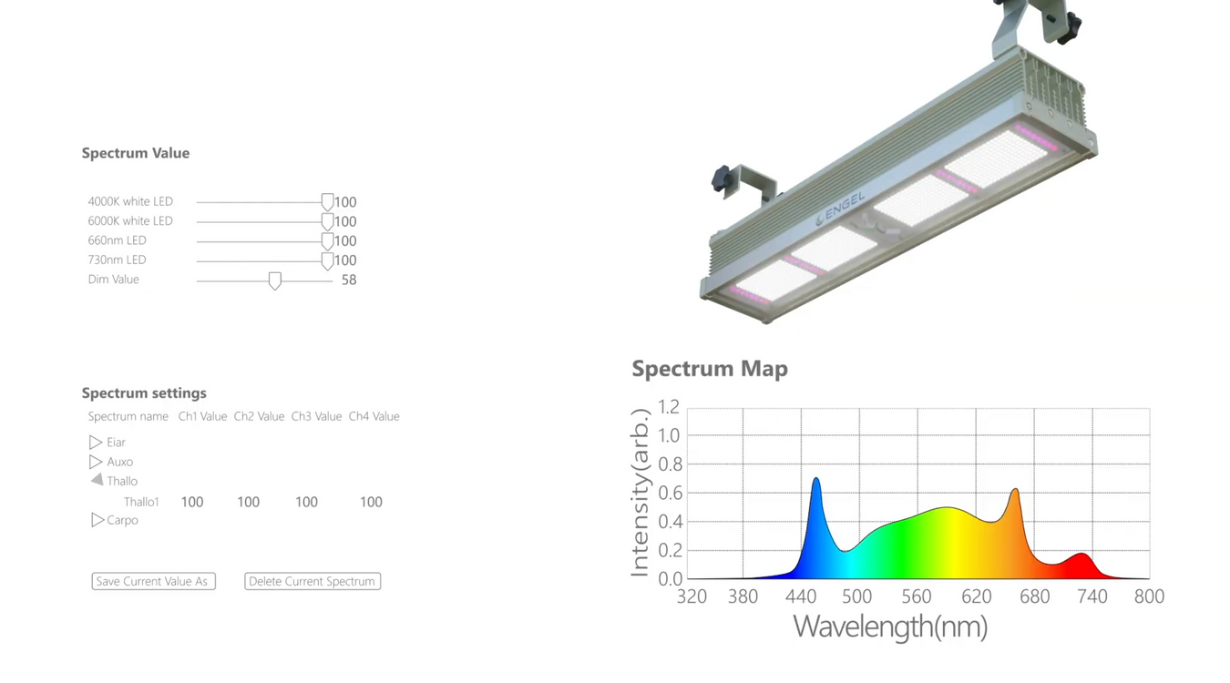 www.engel-lighting.de Engel Lighting 