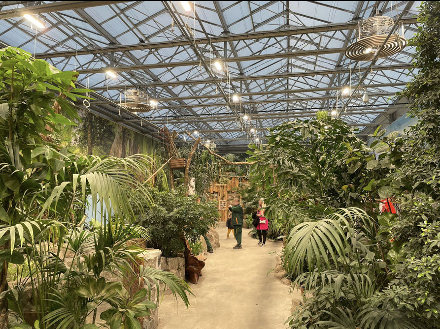 Beleuchtungsprojekt Holland-Park Berlin