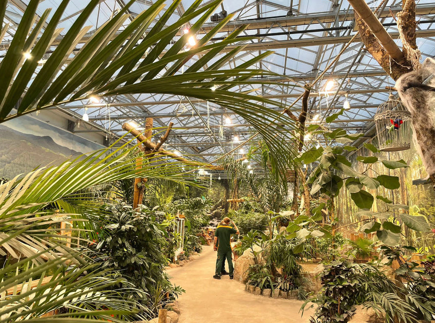 LED Beleuchtung im Holland-Park Berlin