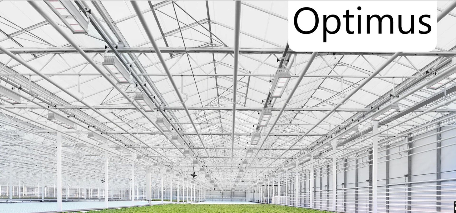 Engel Optimus – Profi-LED-Pflanzenleuchte mit 4 Spektren & Steuerung ...