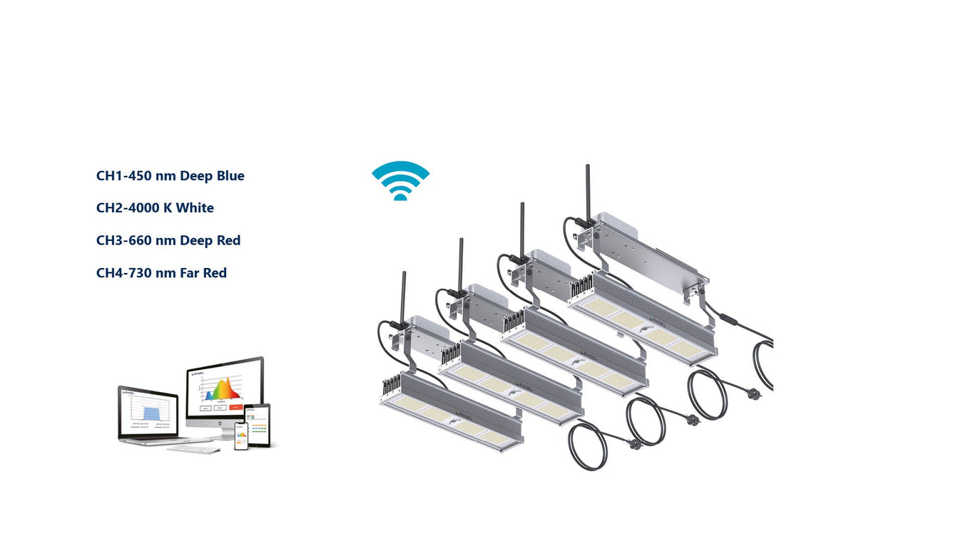 www.engel-lighting.de Engel Lighting 