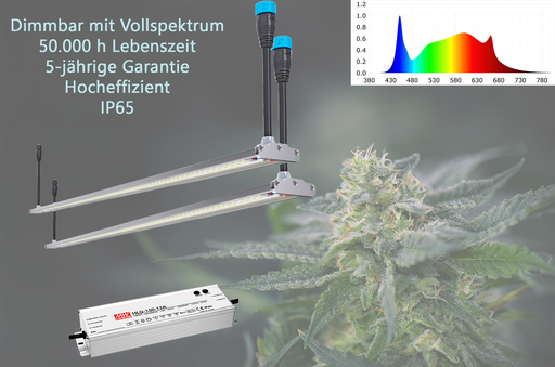 Engel Flora LED-Pflanzenleuchte – Set -  Maximale Effizienz für Indoor- &  Gewächshausanbau Engel Lighting 