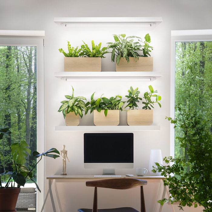 eGrow 1 Nova LED-Pflanzenleuchte 32 W Vollspektrum | 120 cm Grow Light für Blattgemüse, Kräuter & Keimlinge, IP65 wasserdicht & energieeffizient