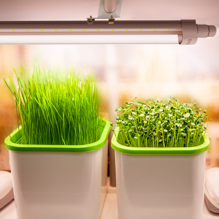 eGrow 1 Nova LED-Pflanzenleuchte 32 W Vollspektrum | 120 cm Grow Light für Blattgemüse, Kräuter & Keimlinge, IP65 wasserdicht & energieeffizient